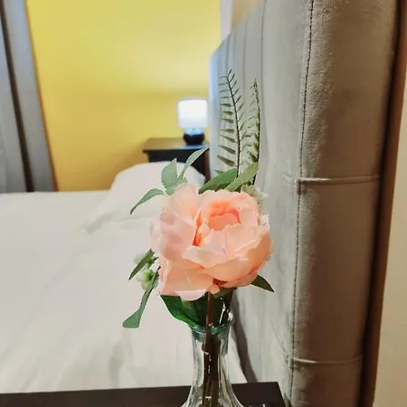 Affittacamere Rose *